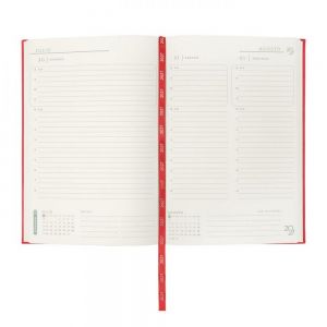 AGENDA DIARIA TERRA 2027 personalizada